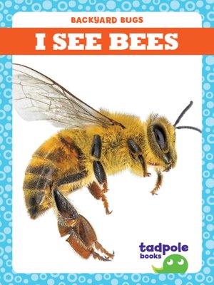 cover image of I See Bees